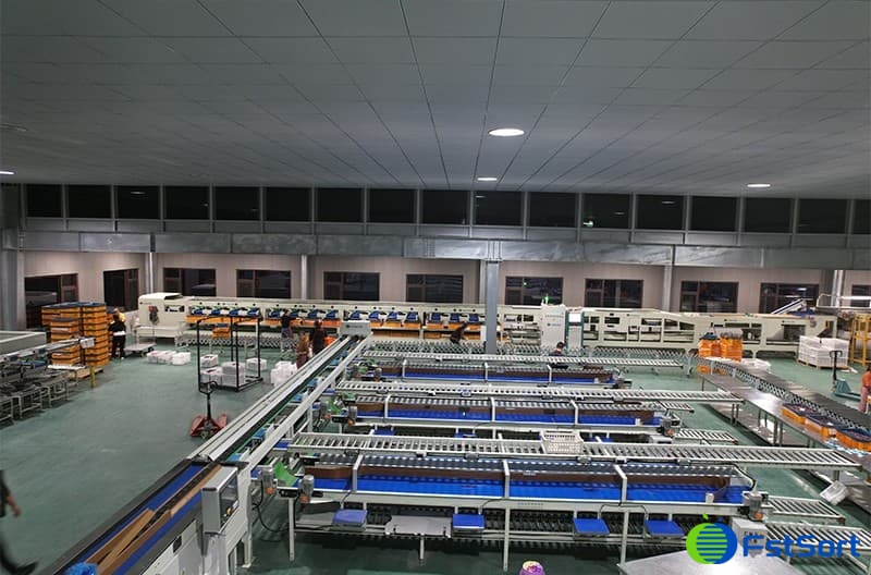 images/1669883737985plum sorting machine.jpg